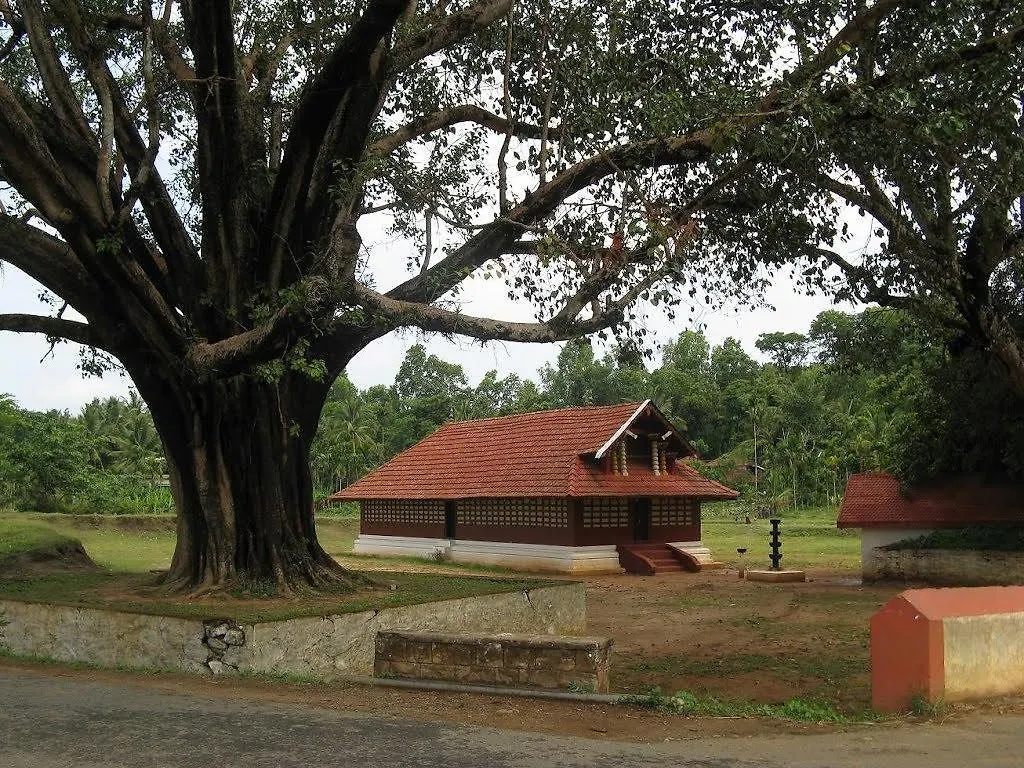 Wayanad Gate Resort Mananthavady