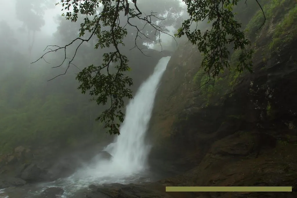 Wayanad Gate Resort Mananthavady