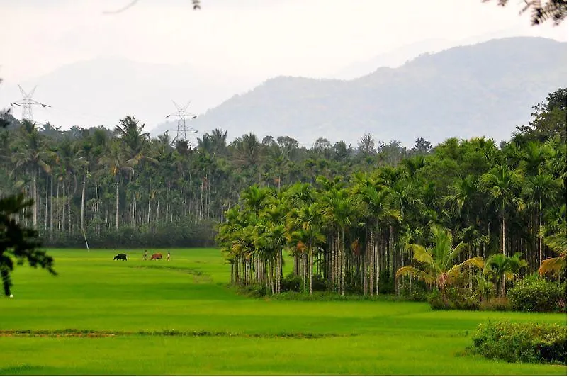 Wayanad Gate Resort Mananthavady
