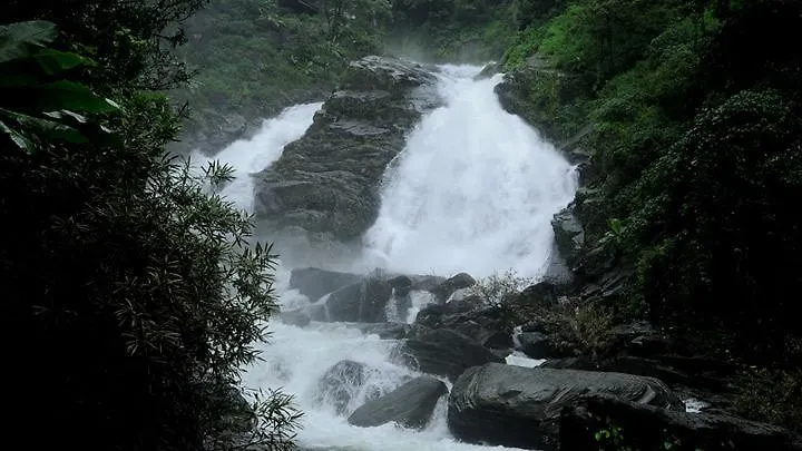 Wayanad Gate Resort Mananthavady