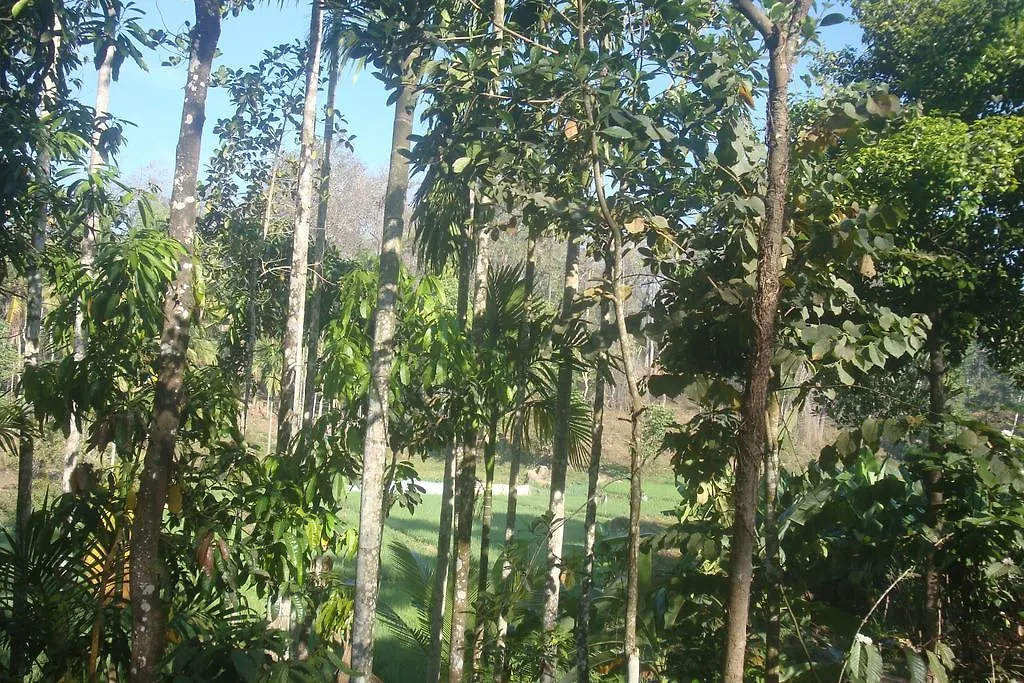 Wayanad Gate Resort Mananthavady